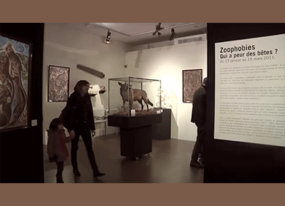 Réalisation : Reportage sur Zoophobies