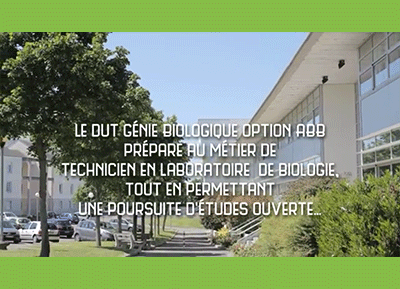 Réalisation : Zoom sur le DUT GB